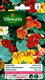 Vilmorin 5191343 Pack de Graines Capucine Valina Variée