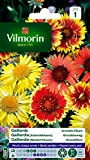 Vilmorin 5271241 Gaillarde variée à Grande Fleur, Multicolore, 90 x 2 x 160 cm