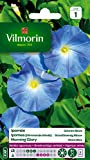 Vilmorin 5323541 Ipomée à Grande Fleur, Bleu, 90 x 2 x 160 cm
