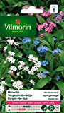 Vilmorin 5380541 Myosotis, Multicolore, 90 x 2 x 160 cm