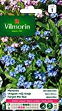Vilmorin 5380741 Myosotis, Bleu, 90 x 2 x 160 cm