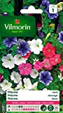 Vilmorin 5510541 Pétunia varie, Multicolore, 90 x 2 x 160 cm