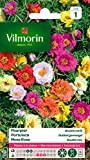 Vilmorin 5633441 Pourpier à Grande Fleur Double varie, Multicolore, 90 x 2 x 160 cm