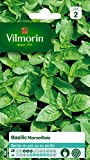 Vilmorin 5873246 Pack de Graines Basilic Marseillais Extrêmement Parfumé