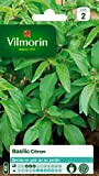 Vilmorin 5873342 Pack de Graines Basilic Citron