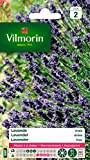 Vilmorin 5876146 Lavande vraie Violet 9 x 1 x 14 cm