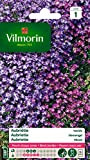 Vilmorin- Aubriéta en mélange - semences pour plantations - fleurs basses 15 cm vivaces - fleurit chaque année - floraison ...