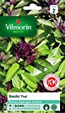 Vilmorin - Basilic Thaï - Parfums mêlés d'estragon et d'anis - feuilles vert olive légèrement violacées - facile à réussir