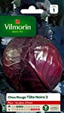 Vilmorin - Chou rouge tête noire 3 - pour les récoltes d'hiver jusqu'au printemps - variété traditionnelle - couleur originale ...