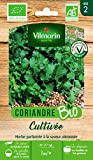 Vilmorin - Coriandre cultivée bio - plante aromatique annuel - Herbe parfumée à la saveur citronnée -semences issues d'une culture ...