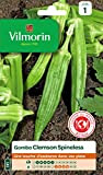 Vilmorin - Gombo Clems spineless - Saveur venue d'Afrique proche de l'aubergine- légume ou condiment - forme pointue et hexagonale