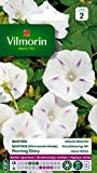 Vilmorin - Ipomée blanche étoilée - semences pour plantation - fleurs grimpantes annuelles 4m - variété vigoureuse - floraison abondante ...