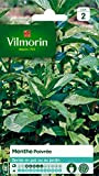 Vilmorin - Menthe poivrée - Plante médicinale et aromatique - idéal pour parfumer cocktails et salades - développement important