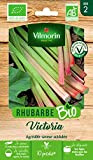 Vilmorin - Rhubarbe Victoria bio - Agréable saveur acidulée -Semences issues d'une culture conforme aux règles de l'agriculture biologique - ...
