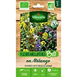 Vilmorin - Sachet graines Fleurs Mellifères en mélange pour engrais vert BIO