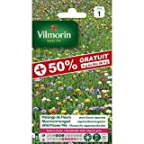 Vilmorin - Sachet graines Mélange de fleurs pour Gazon Japonais +50% GRATUIT
