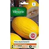 Vilmorin - Sachet graines melon jaune canari