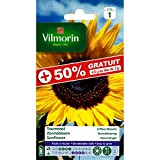 Vilmorin - Sachet graines Soleil tournesol fleur géante 50% GRATUIT