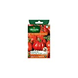 Vilmorin - Sachet graines Tomate coeur de boeuf Corazon HF1