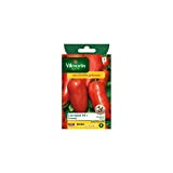 Vilmorin - Sachet graines Tomate Cornabel HF1