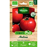 Vilmorin Sachet graines Tomate Matina Bio