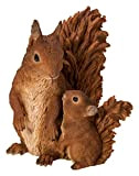 Vivid Arts - Décoration réaliste en résine pour la maison ou le jardin - Mère et bébé - Écureuil rouge ...