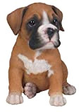Vivid Arts Pet Pals - Boxer Puppy by Pet Pals
