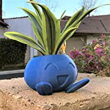 VJRQM Oddish Pot de fleurs pour plantes succulentes Motif Pokémon Bleu Petit modèle