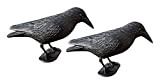 WELLGRO Effaroucheurs d'oiseaux - Corbeau Assis - Plastique, Noir,Lot de 2