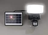 Wetelux Projecteur Wetelux solaire LED de 1000 lm avec module solaire et détecteur de mouvement, ip44