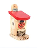 Wildlife World Live Ladybird Lodge Cage à Coccinelle Rouge/Marron