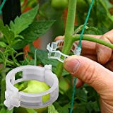 Winmany Lot de 100 Clips de Fixation pour Plantes de Jardin, pour Attacher Plantes Ficelle Vigne Treillis Cages Vigne légumes ...