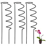 WIVAYE Lot de 3 tuteurs support pour plantes 40,6 cm haut avec tige unique et piquets en spirale, acier inoxydable ...