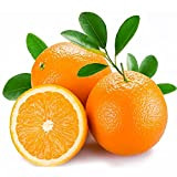XJLING-S 30pcs Les Graines D'orange Sont Faciles à Planter Et à Cultiver Rapidement Et Les Fruits Juteux Conviennent à Toute ...