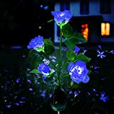 XVZ Lumière Solaire Extérieur Jardin, Lampes LED Rose solaires avec plus grande fleur et large panneau solaire, étanche Deco Jardin ...