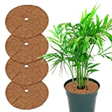 Yisscen 4 pièces Tapis de Coco Plantes, Disque de Protection Plante, Tapis de Noix de Coco Disque paillis Pot Tapis ...