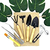 Yolistar Lot de 10 Mini Outils de Jardinage pour Plantes Succulentes, Mini Gardening Tool Set Garden Kit Repiquage Outils pour ...