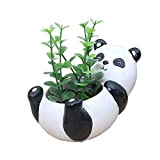 Youfui plantes artificielles Creative Pots de fleur, Mini pot de plantes Décoration, résine, faite à la main, petite Plante conteneurs, ...