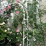 YYHJ Arche Jardin,Décor Treillage Métal Fer,pour Roses Plantes grimpantes Soutien voûte d'entrée Décoration de Jardin
