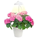 ZENAKIO Lampe LED de croissance - Lampe de plante Déco - Idéal pour Plante Intérieure - Eclairage horticole avec LED ...