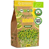 ZenGreens® - Graines de alfalfa bio (1000g) de qualité supérieure - Graines de luzerne avec un taux de germination de ...
