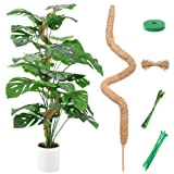 zerotop Tuteur Plante, Plante Tuteur Coco Support pour Plante Grimpante, 114cm Grimpante Tuteur Coco Pliable pour Plante Monstera Extension Et ...
