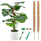 zerotop Tuteur Plante, Plante Tuteur Coco Support pour Plantes Grimpantes, 64cm Grimpante Tuteur Coco Pliable pour Plante Monstera Extension Et ...